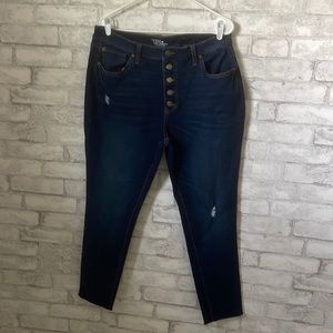Time and True High Rise Curvy Skinny Jean Size 16 Dark Wash